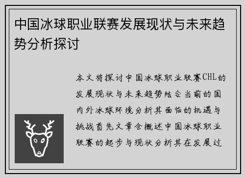 中国冰球职业联赛发展现状与未来趋势分析探讨